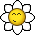 daisy1